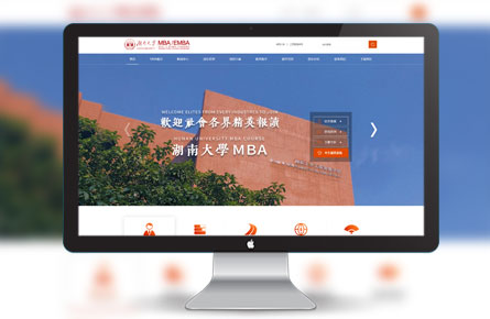 品牌網站案例-湖南大學